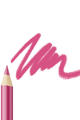 Lip Liner Pencil 304