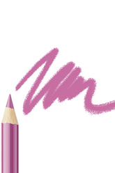 Lip Liner Pencil 313