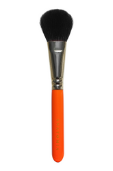 LF17 brush