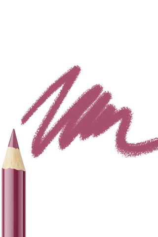 Lip Liner Pencil 309