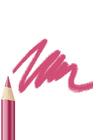 Lip Liner Pencil 319