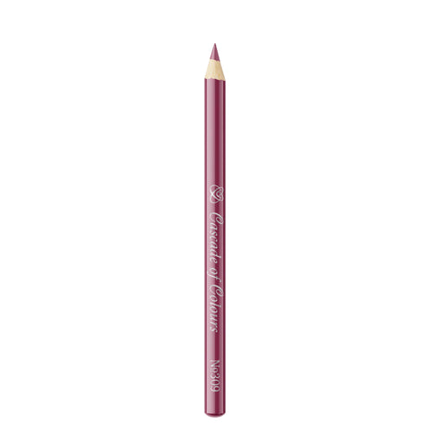 Lip Liner Pencil 309