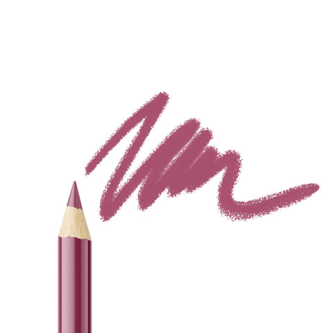 Lip Liner Pencil 309