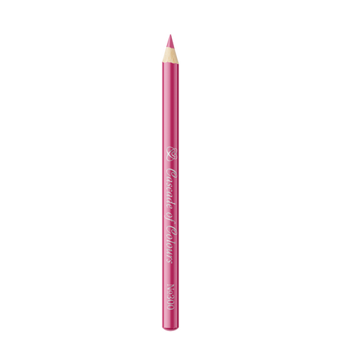 Lip Liner Pencil 300