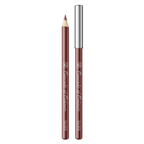 Lip Liner Pencil 301