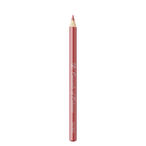 Lip Liner Pencil 302
