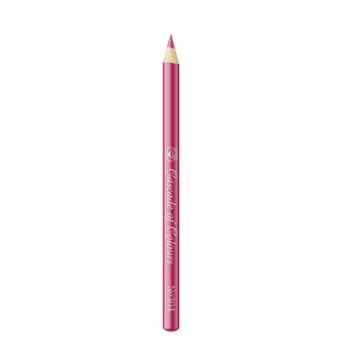 Lip Liner Pencil 304