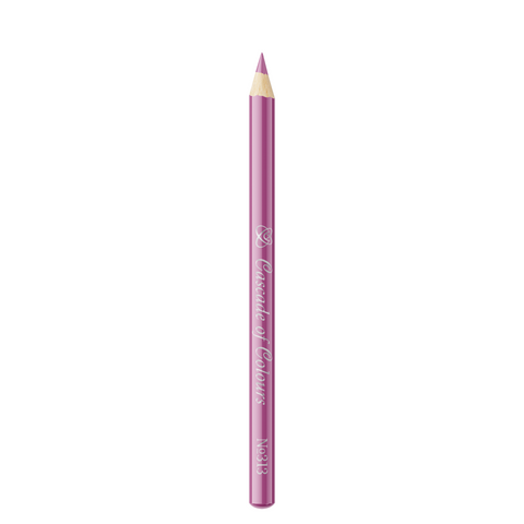 Lip Liner Pencil 313