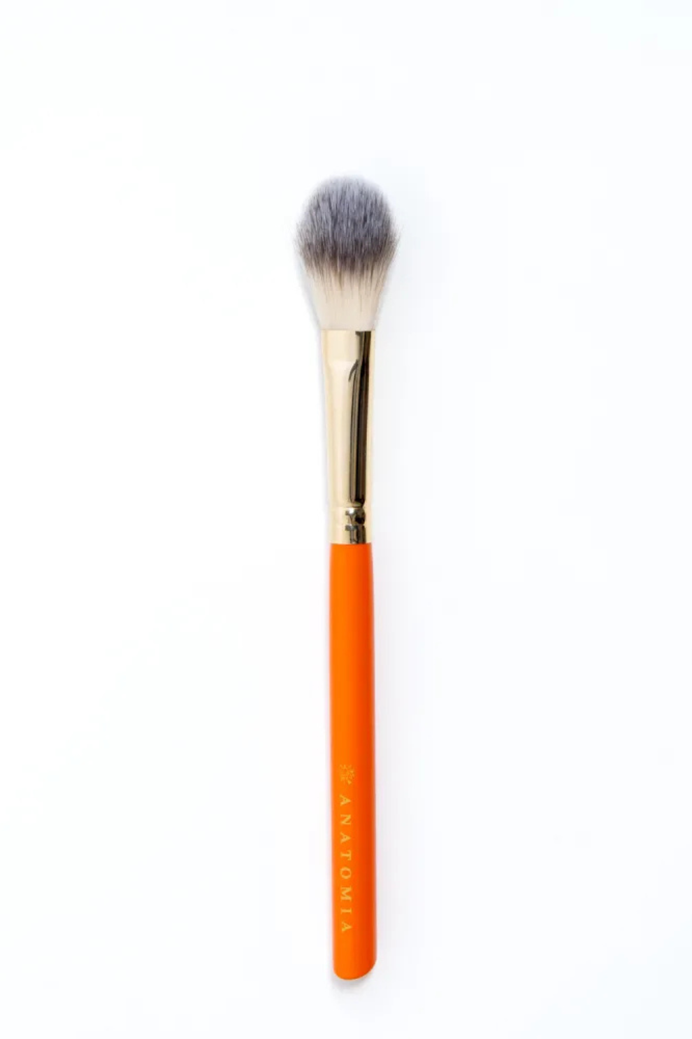 LT10 brush