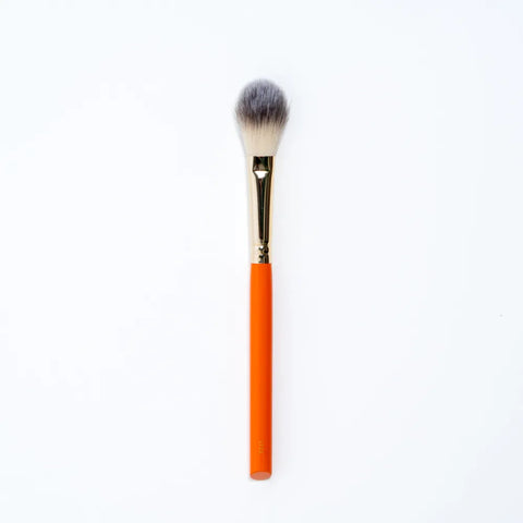 LT10 brush