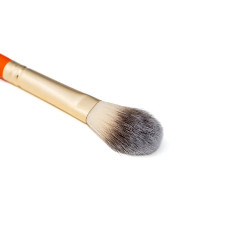 LT10 brush