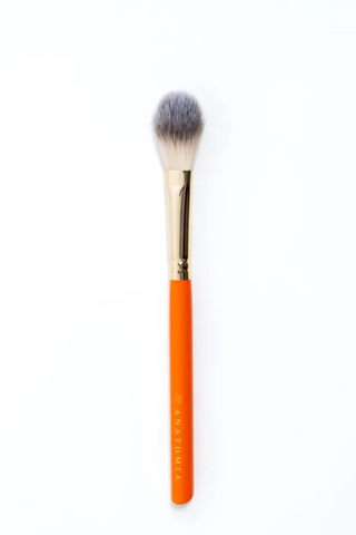 LT10 brush