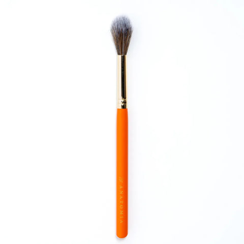 LT11 brush