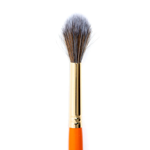 LT11 brush