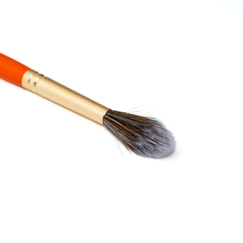 LT11 brush