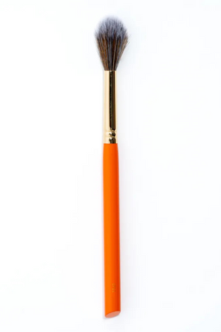 LT11 brush