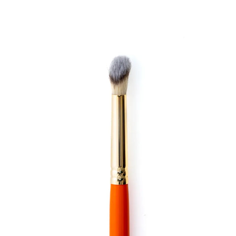 LT9 brush