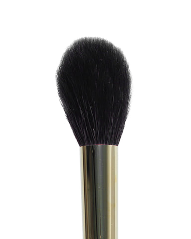 LG5 brush